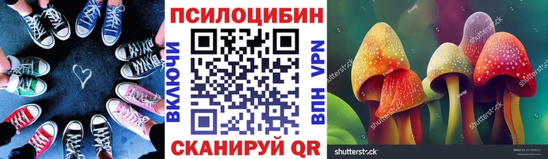 Галлюциногенные грибы Magic Shrooms  Пучеж 